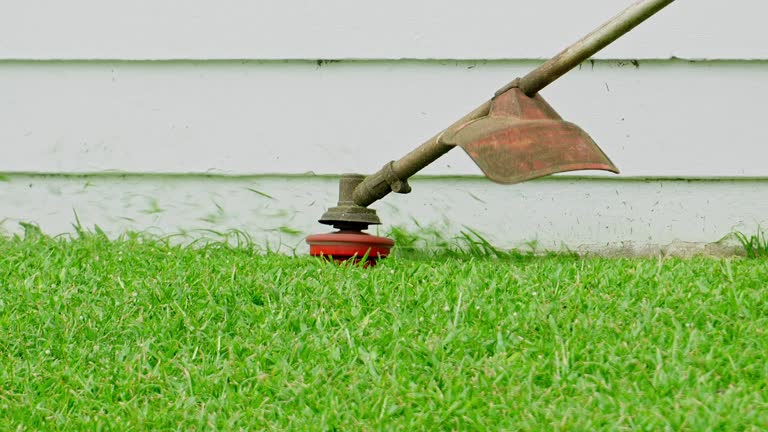 Artificial Turf Installation in Mar Mac, NC